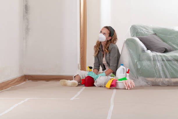 Reliable Mold Cleanup contractor in Lewisville, WA by Cheap Mold Removal